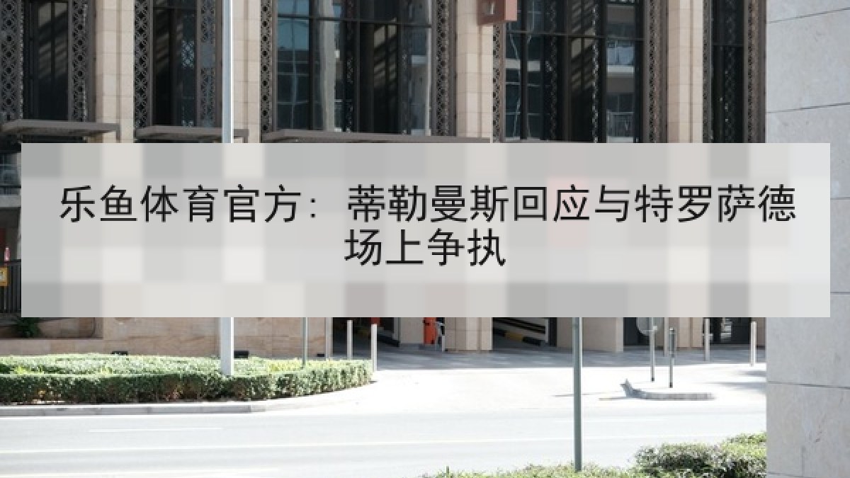 乐鱼体育官方: 蒂勒曼斯回应与特罗萨德场上争执